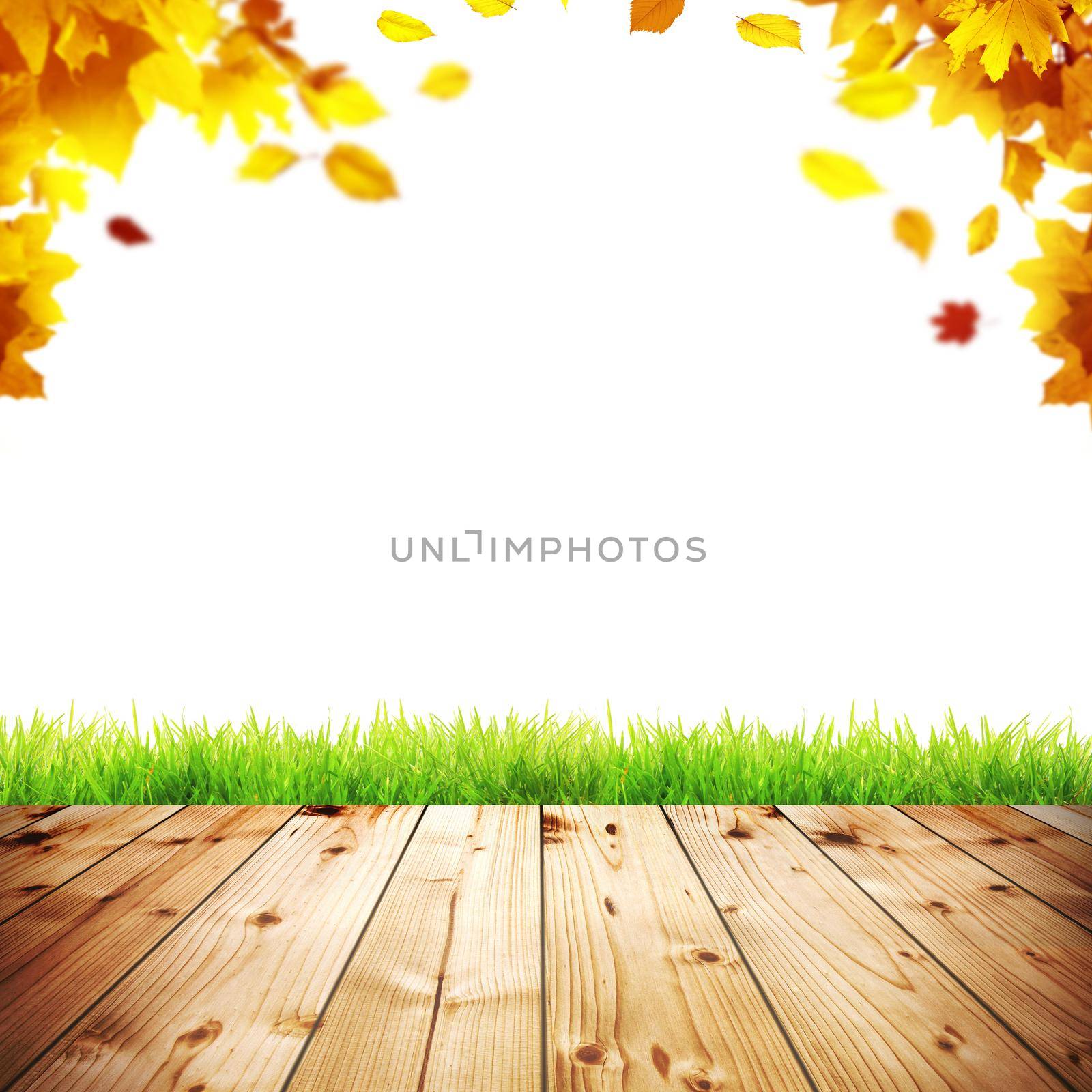 Colorful bright leaves falling on a wooden background by Taut