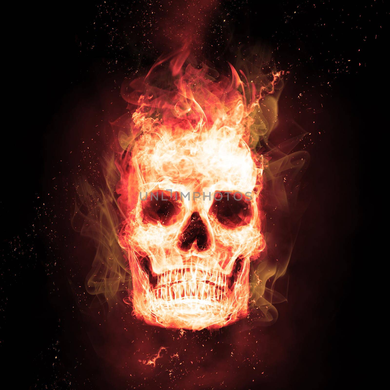 Burning skull in flames in the darkness by Taut