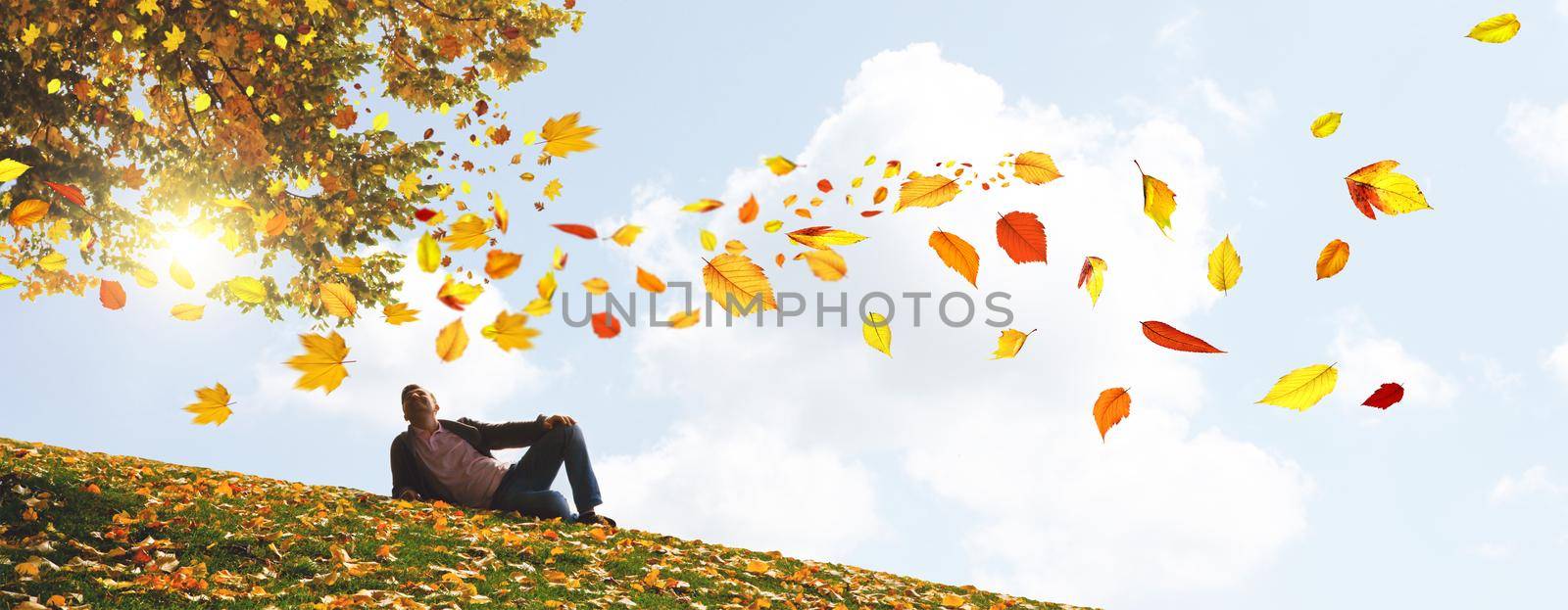 Beautiful autumn background with yellow and red leaves.