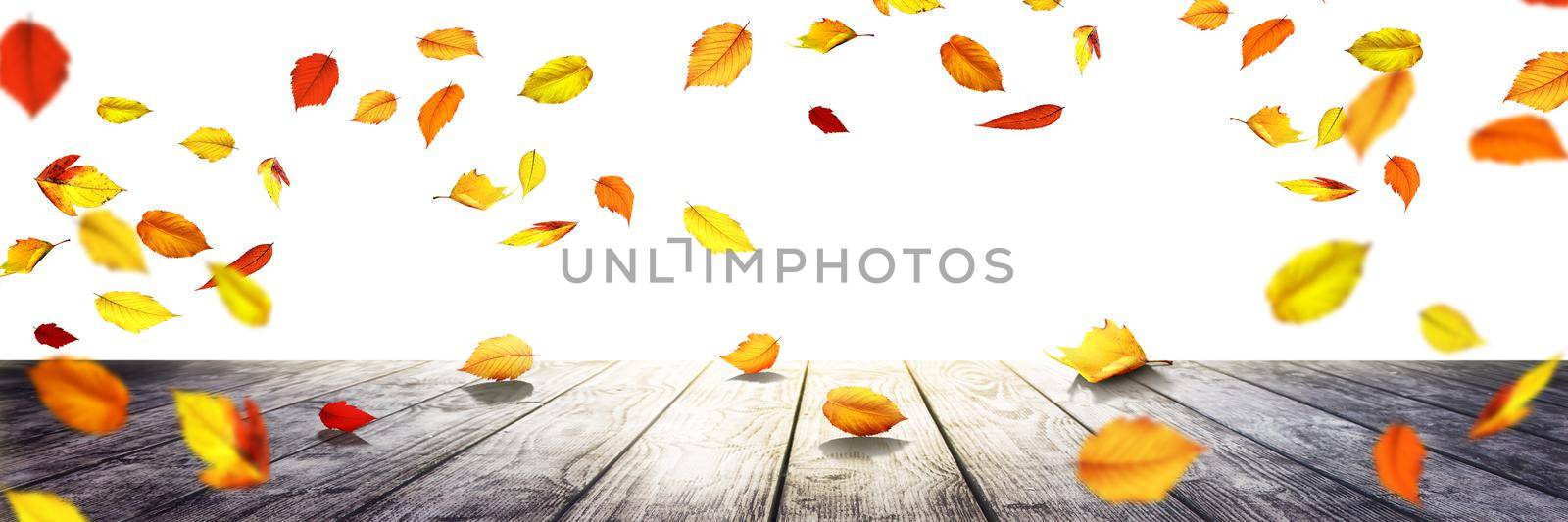 Colorful bright leaves falling on a wooden background by Taut