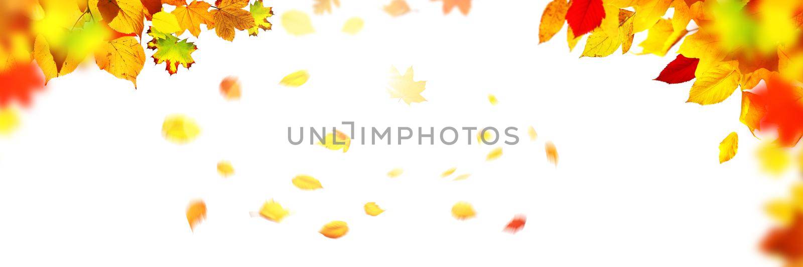 Beautiful autumn background with yellow and red leaves.