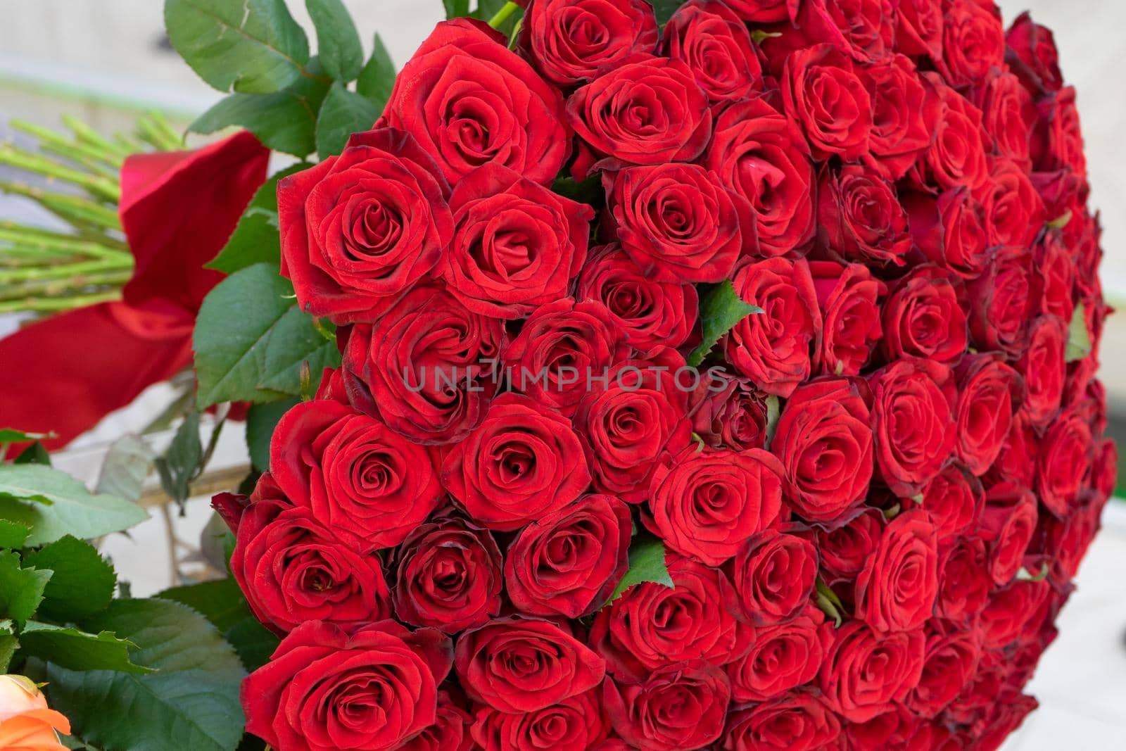 A large bouquet of red roses tied with a red ribbon. Close up by Serhii_Voroshchuk