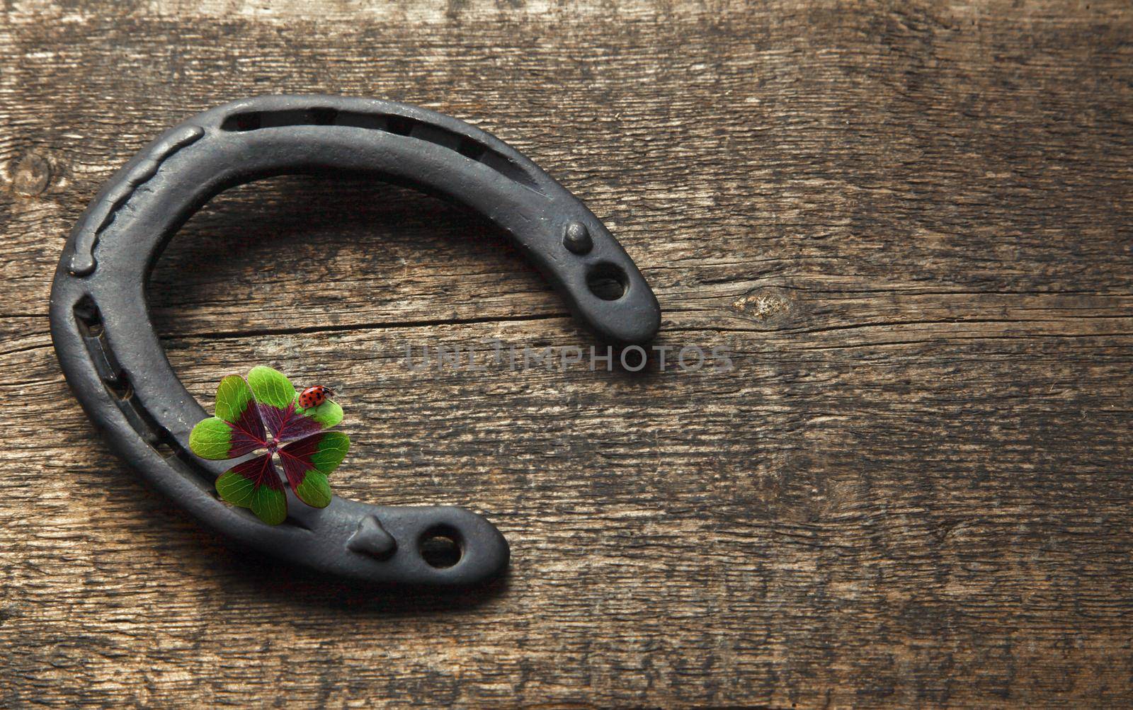 Horseshoe and concept of luck. St. Patricks Day card.