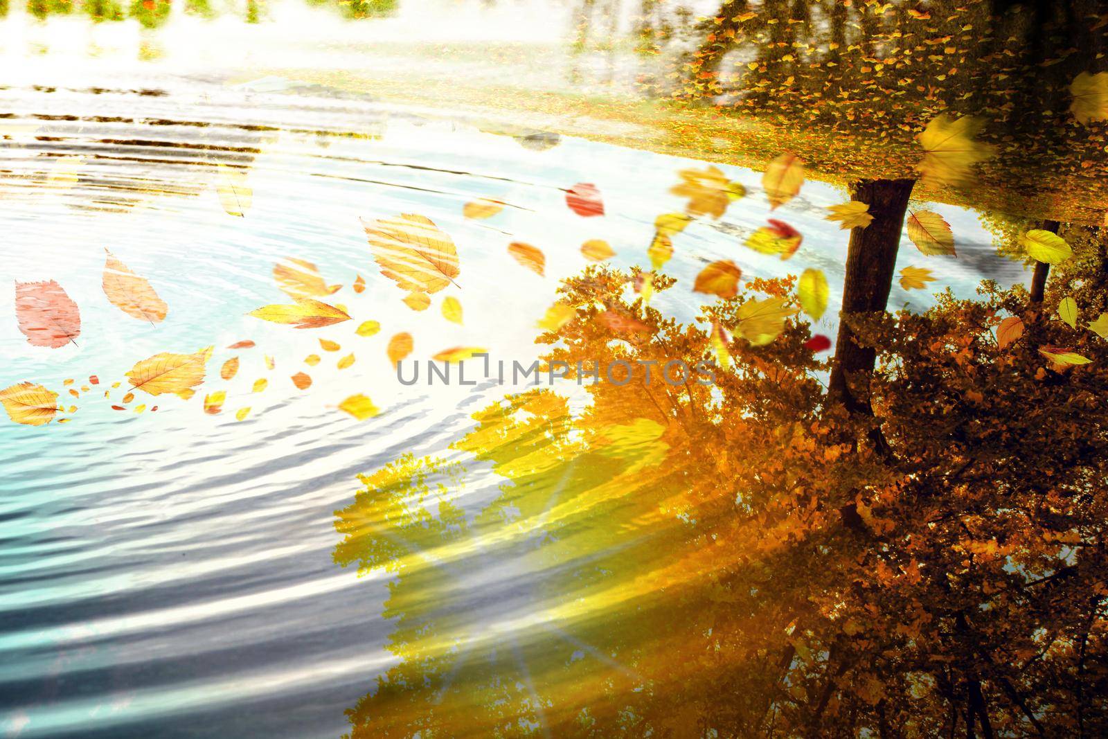 Beautiful autumn background with yellow and red leaves.