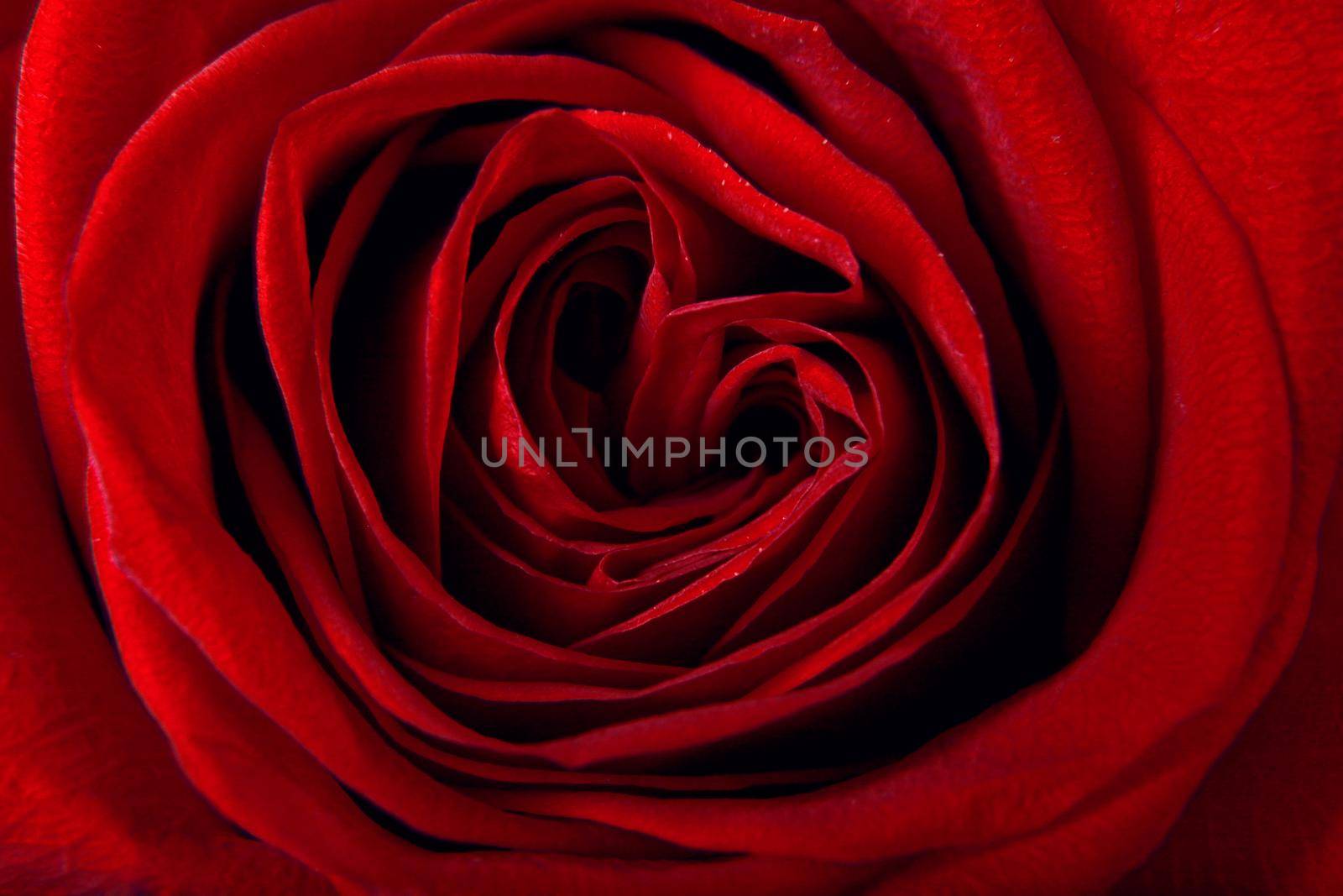 Valentines Day background. Love and Valentine's Day concept.
