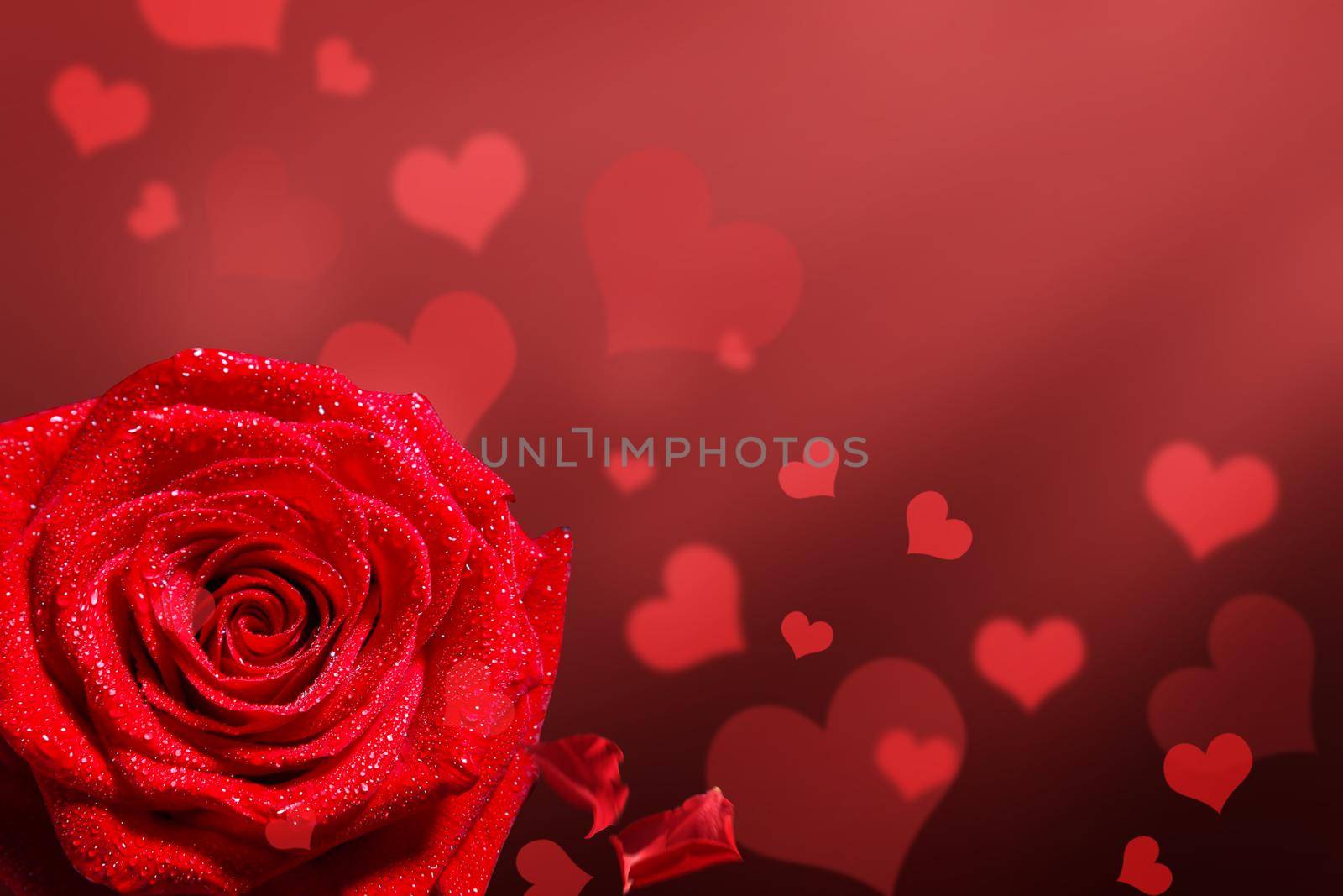 Valentines Day background. Love and Valentine's Day concept.
