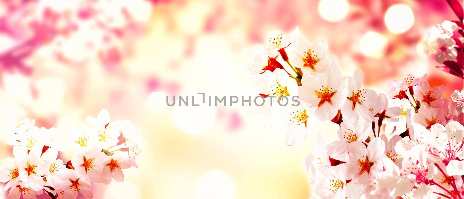 Beautiful nature scene with blooming flowers tree.