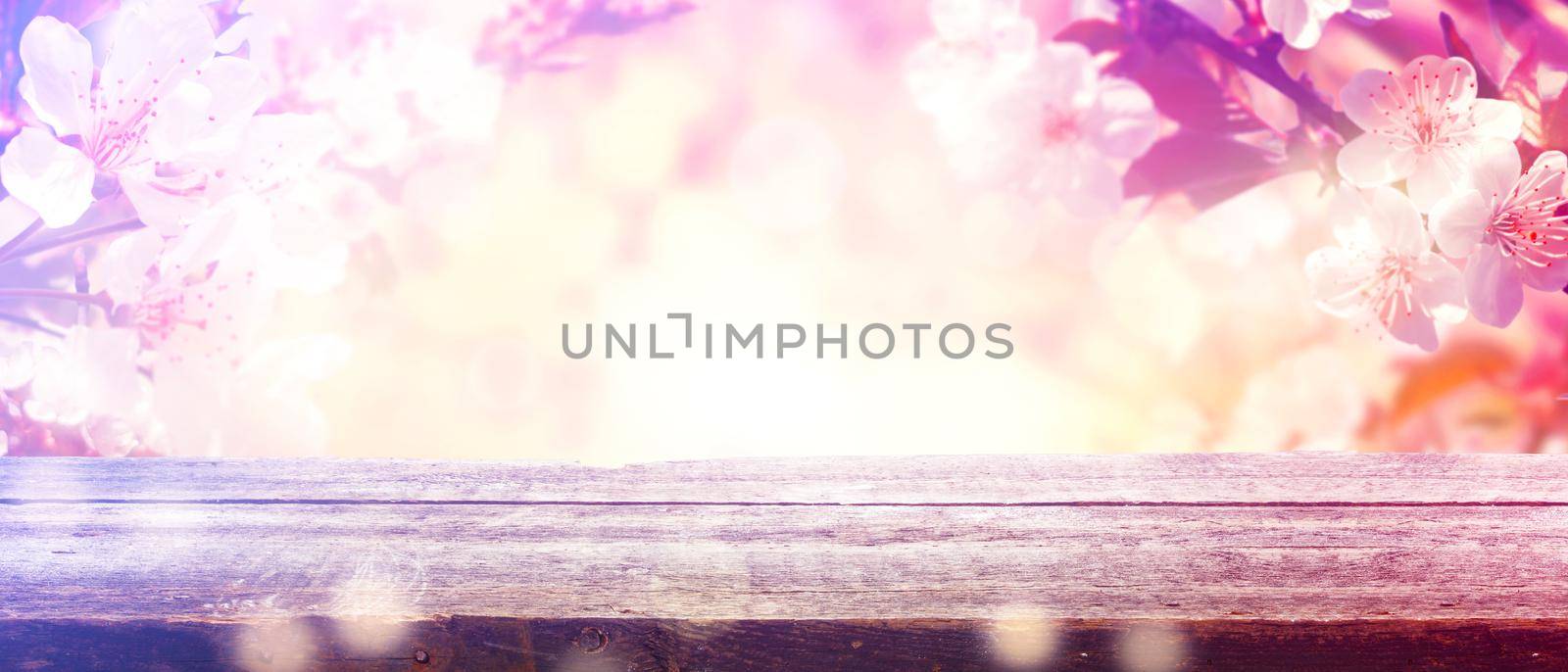 Beautiful nature scene with blooming flowers tree.