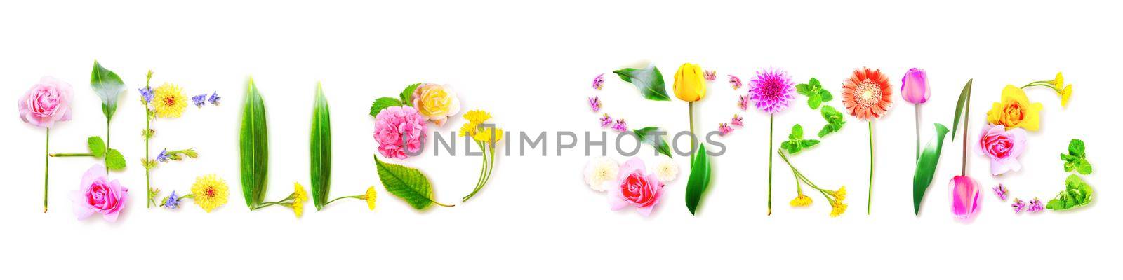 SPRING decorative inscription with letters. Creative spring concept.
