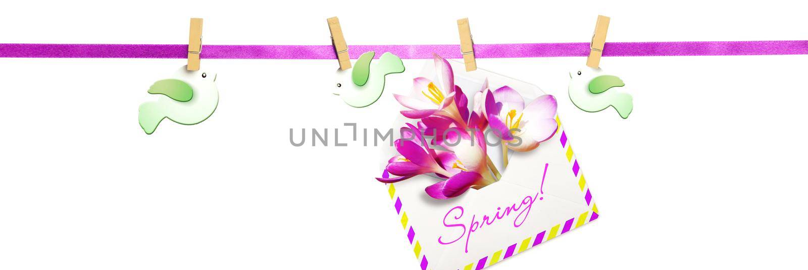 Delicate spring flowers snowdrops. Spring floral background.