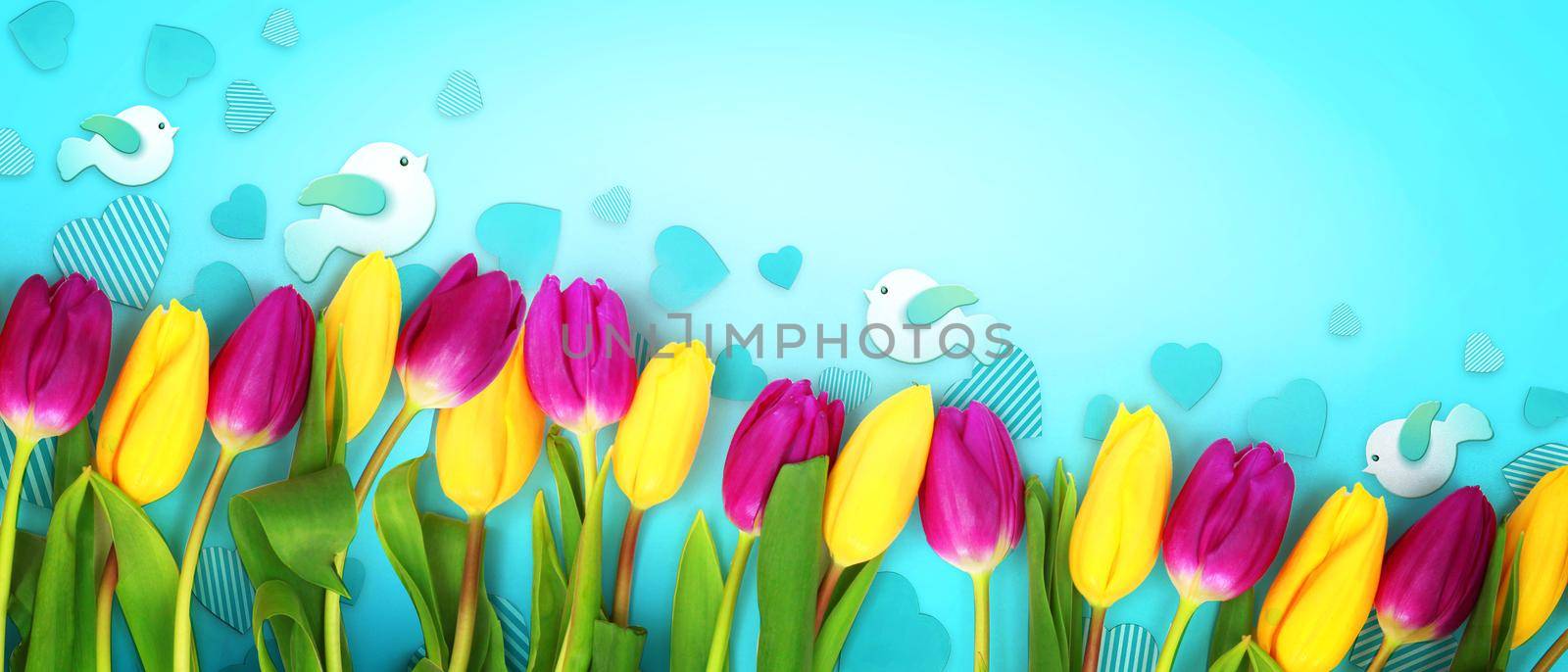 Beautiful tulips. Spring nature background for web banner and card design. by Taut