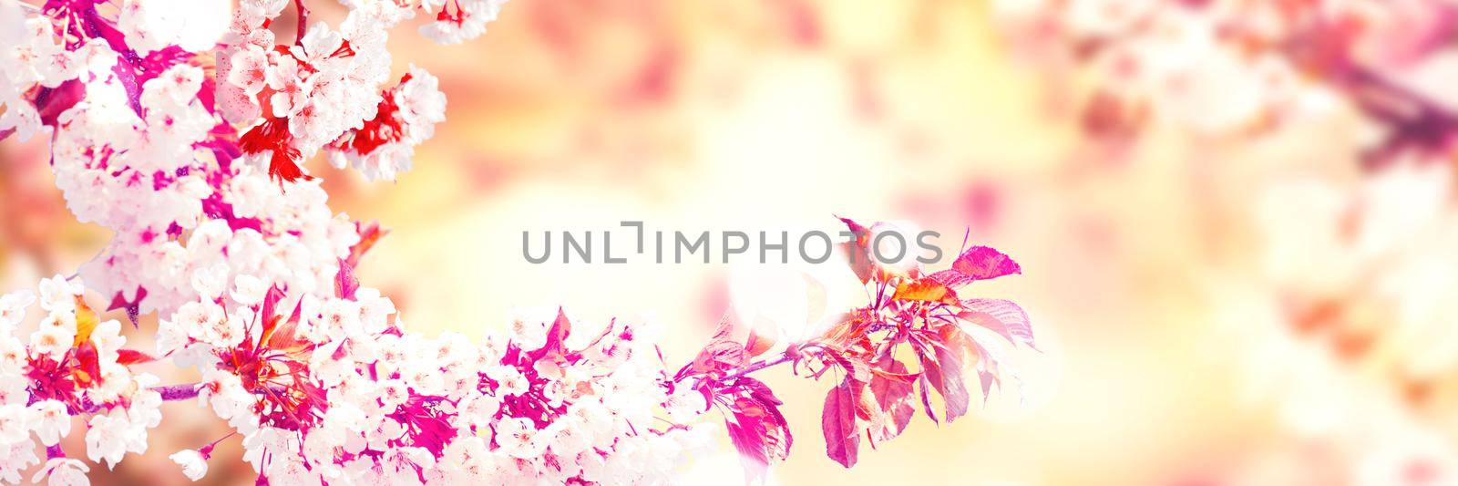 Beautiful nature scene with blooming flowers tree.