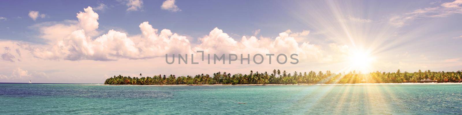 Tropical island with palms and beach panorama as background by Taut