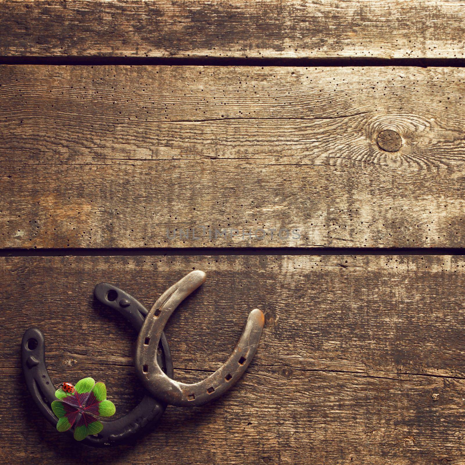Horseshoe with lucky clover on a wooden background by Taut
