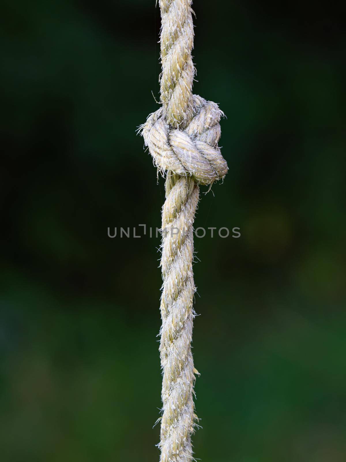 Knotted sports rope hanging from crossbar of horizontal bar by rdonar2