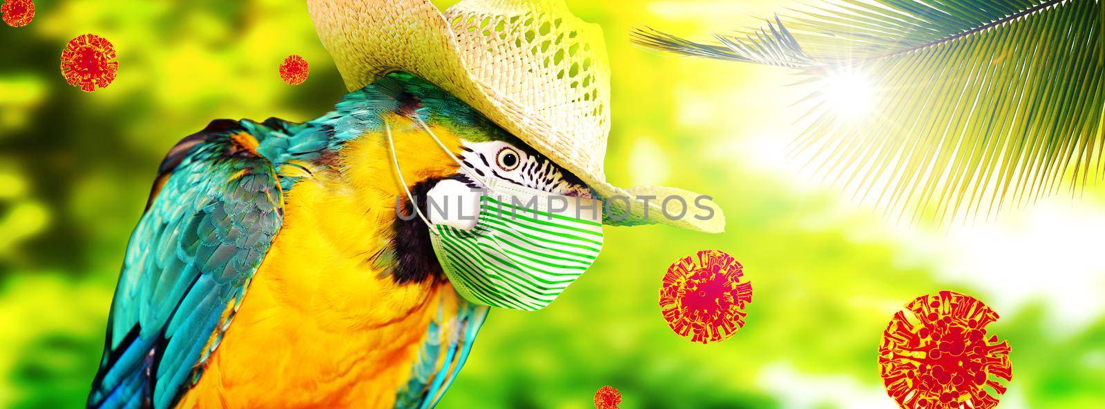 Macaw parrot with medical mask on vacation by Taut