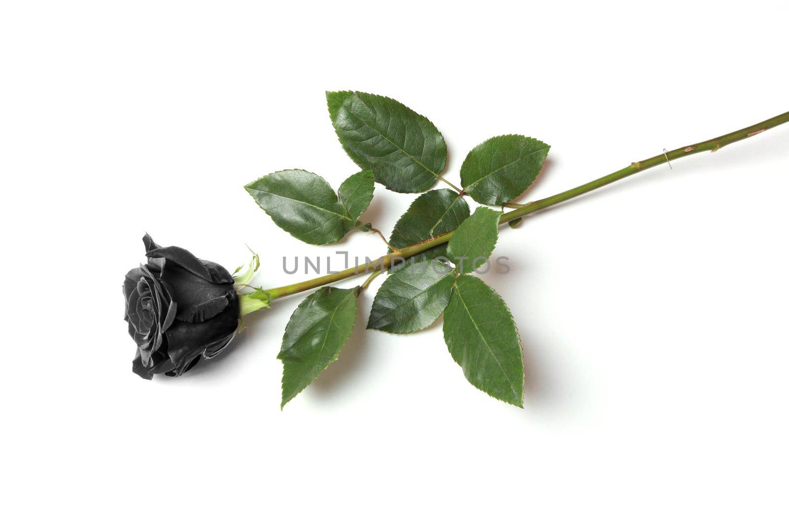 Valentines Day background. Love and Valentine's Day concept.