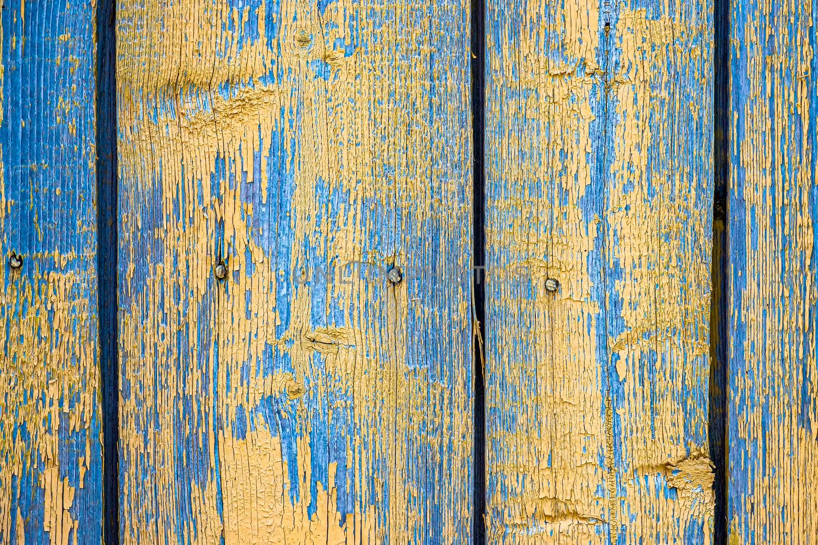 Vertical aged boards are blue with peeled off background paint. by Essffes