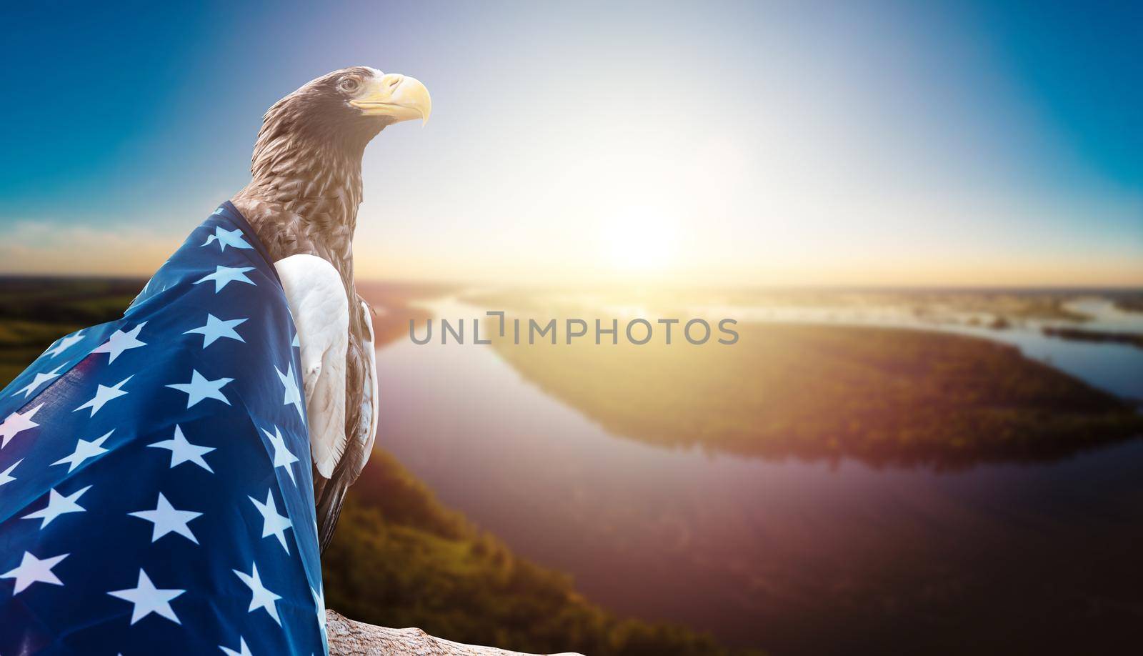 Eagle With American Flag by rusak