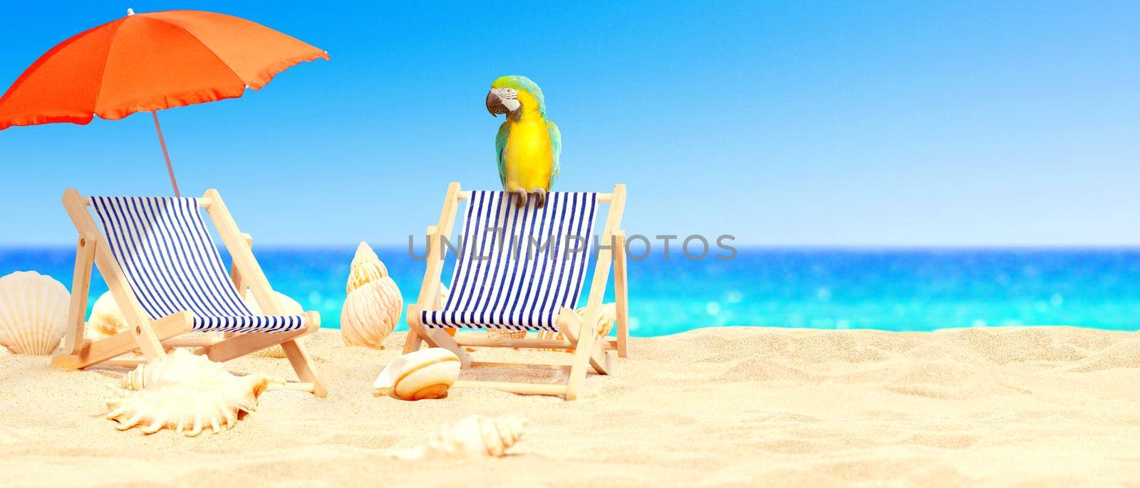 Wooden deck chairs with parrot on sandy beach near sea. Holiday background.