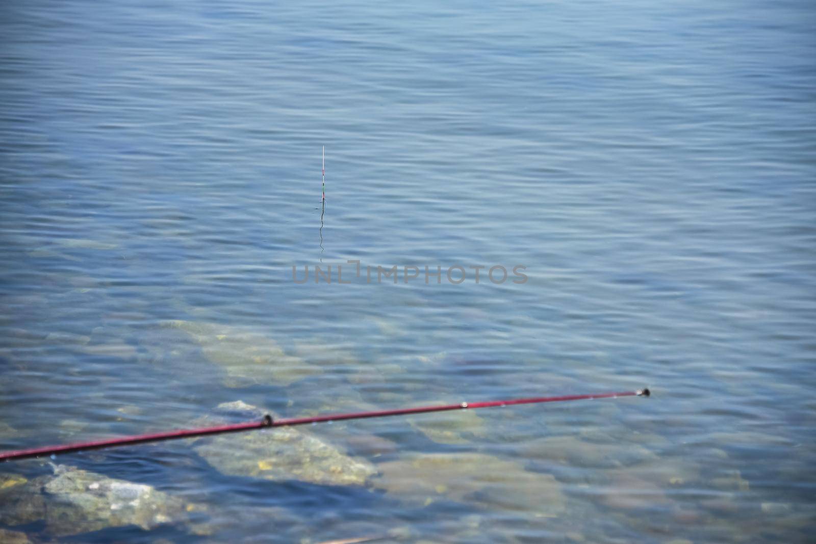 fishing float sticks out of the water. part of the fishing rod is visible.