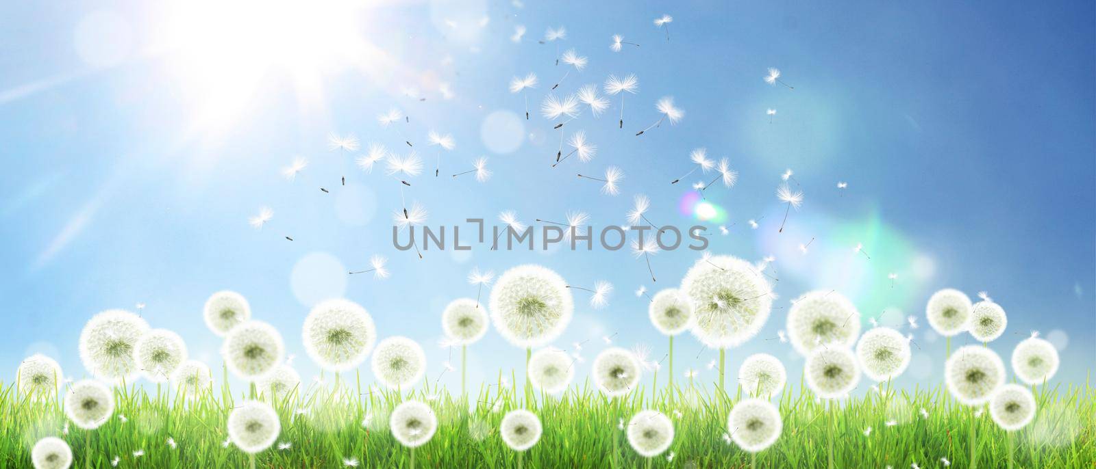 Beautiful dreamy spring nature background with dandelion