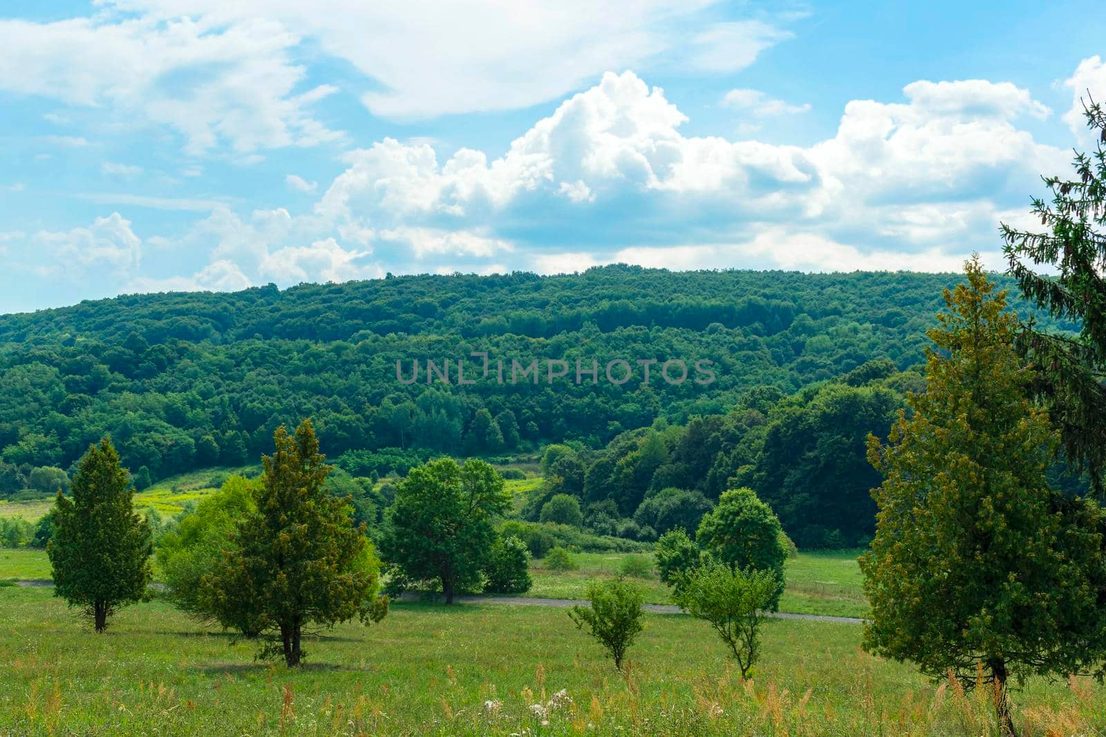 Northern Hungary mountain range with pine forest. Green Bükk Mountains at summer. Blue cumulus sky and grassy field.