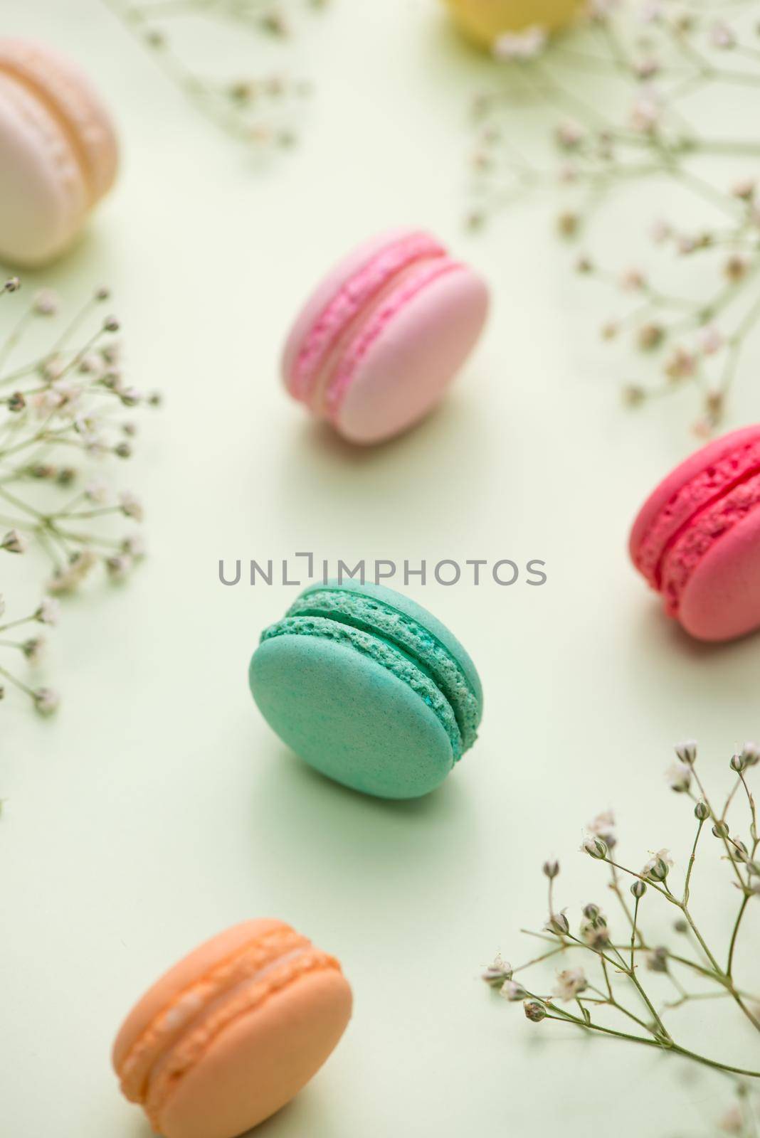 Dessert. Sweet macarons or macaroons with flowers.