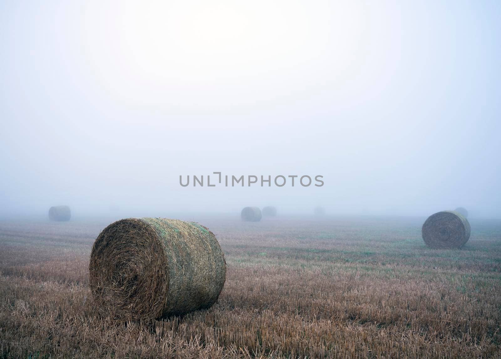 straw bales in misty morning field near rouen in france by ahavelaar