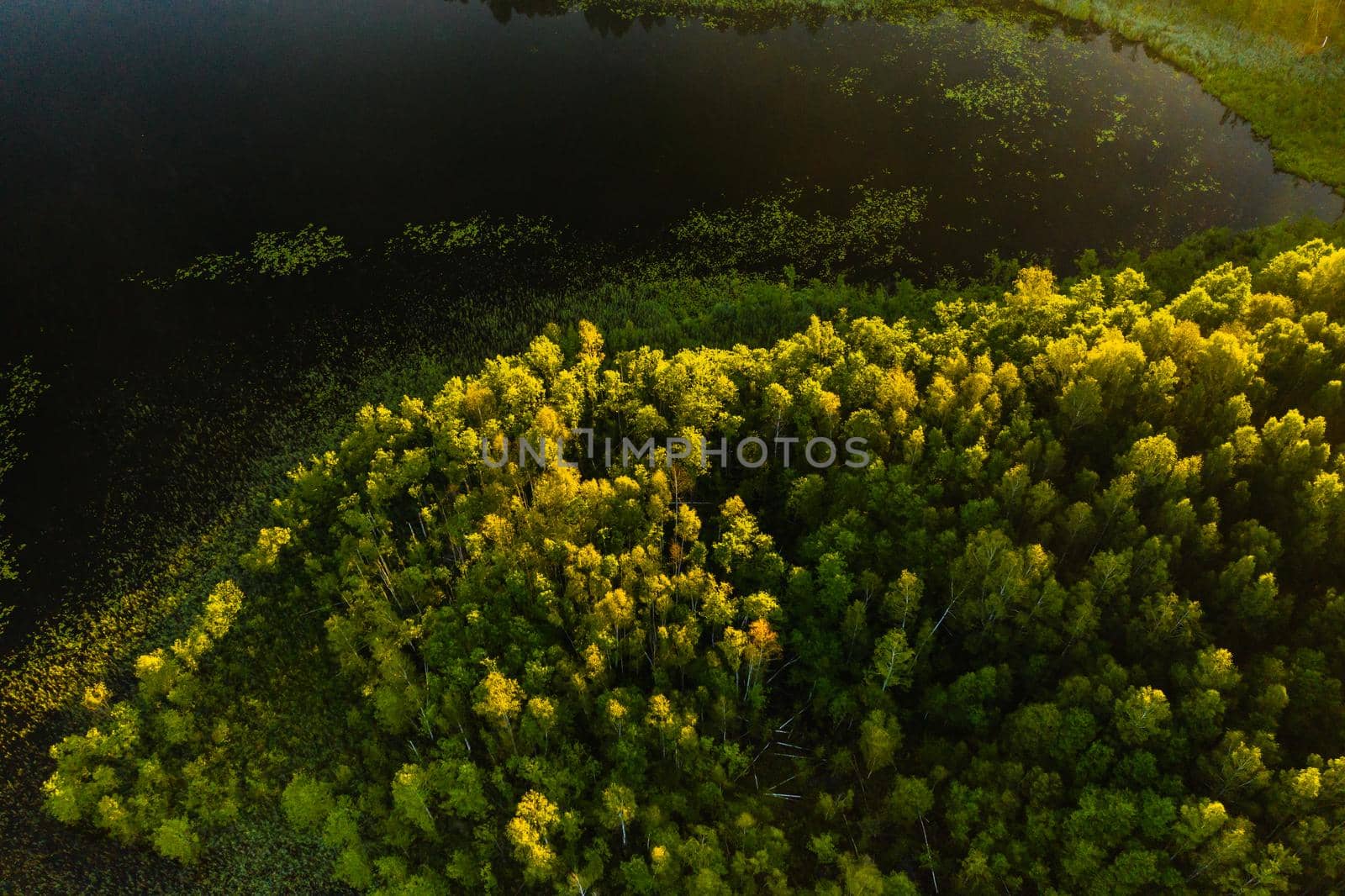 Top view of the lake Bolta in the forest in the Braslav lakes National Park, the most beautiful places in Belarus.An island in the lake.Belarus. by Lobachad