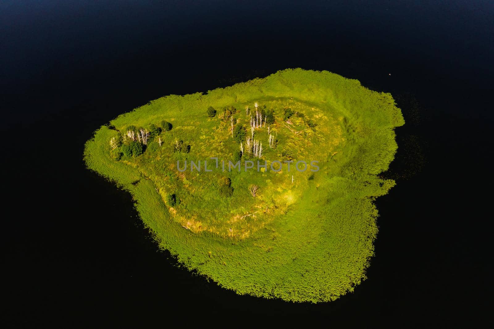 Top view of lake Drivyaty in the Braslav lakes National Park, the most beautiful lakes in Belarus.An island in the lake.Belarus. by Lobachad