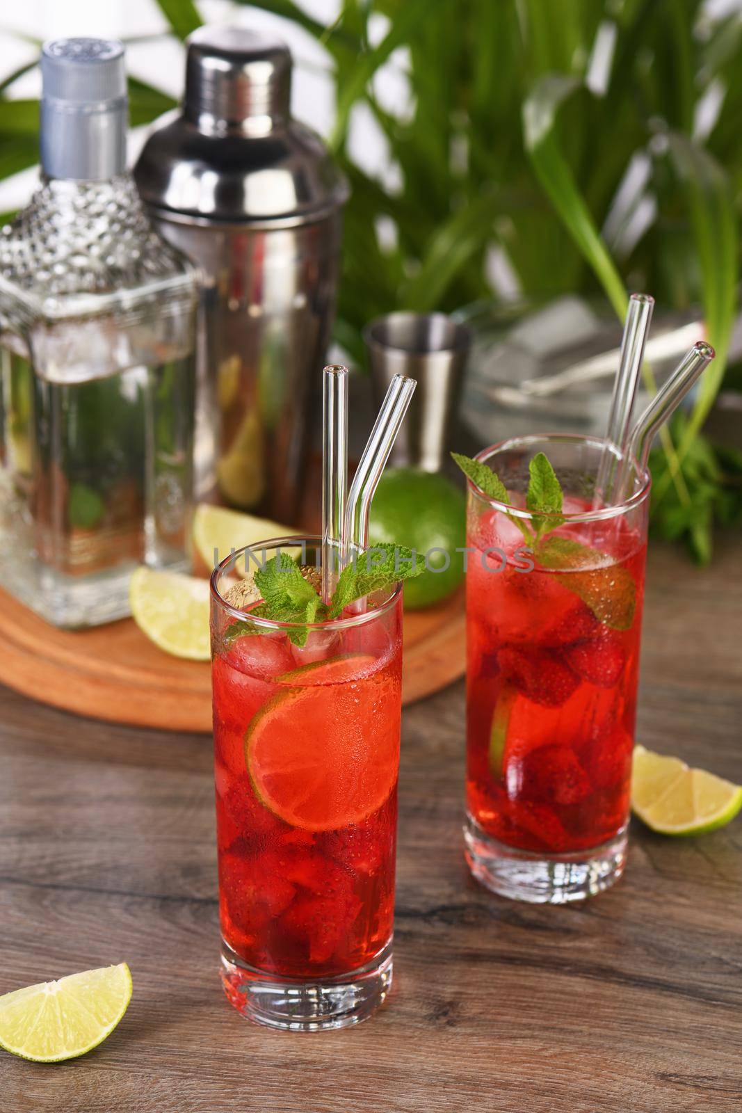 Summer strawberry mojito cocktail by Apolonia