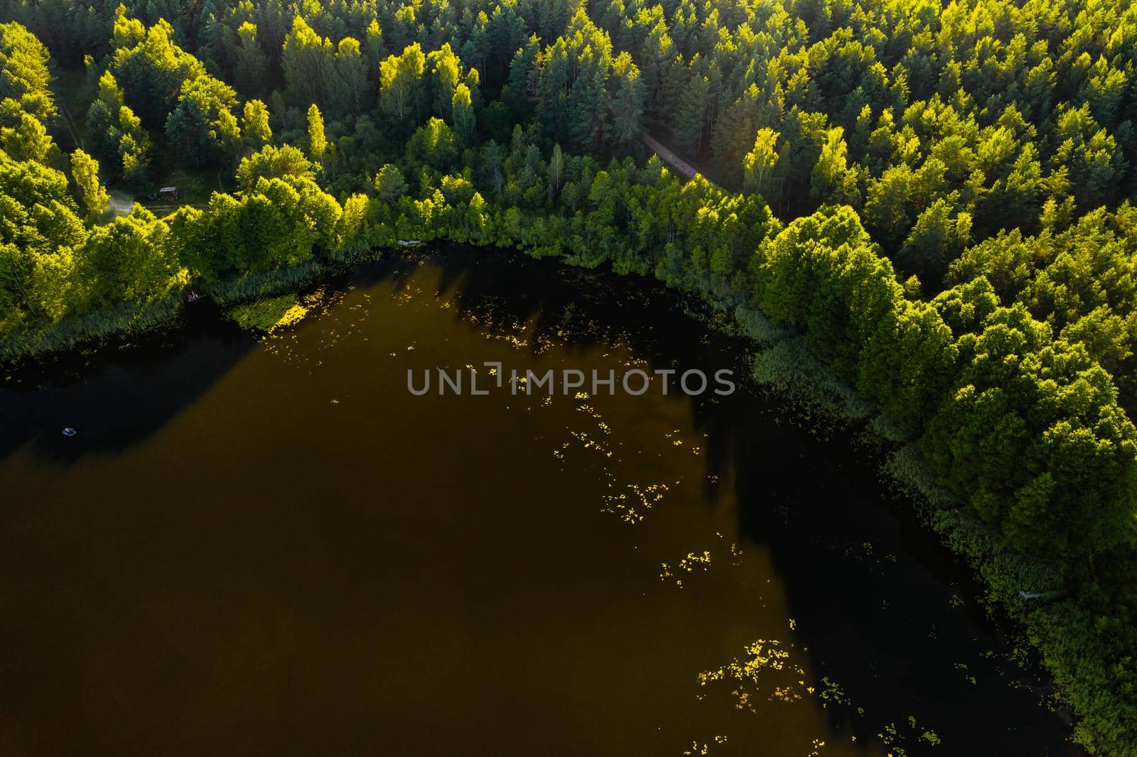 Top view of the lake Bolta in the forest in the Braslav lakes National Park, the most beautiful places in Belarus.An island in the lake.Belarus. by Lobachad