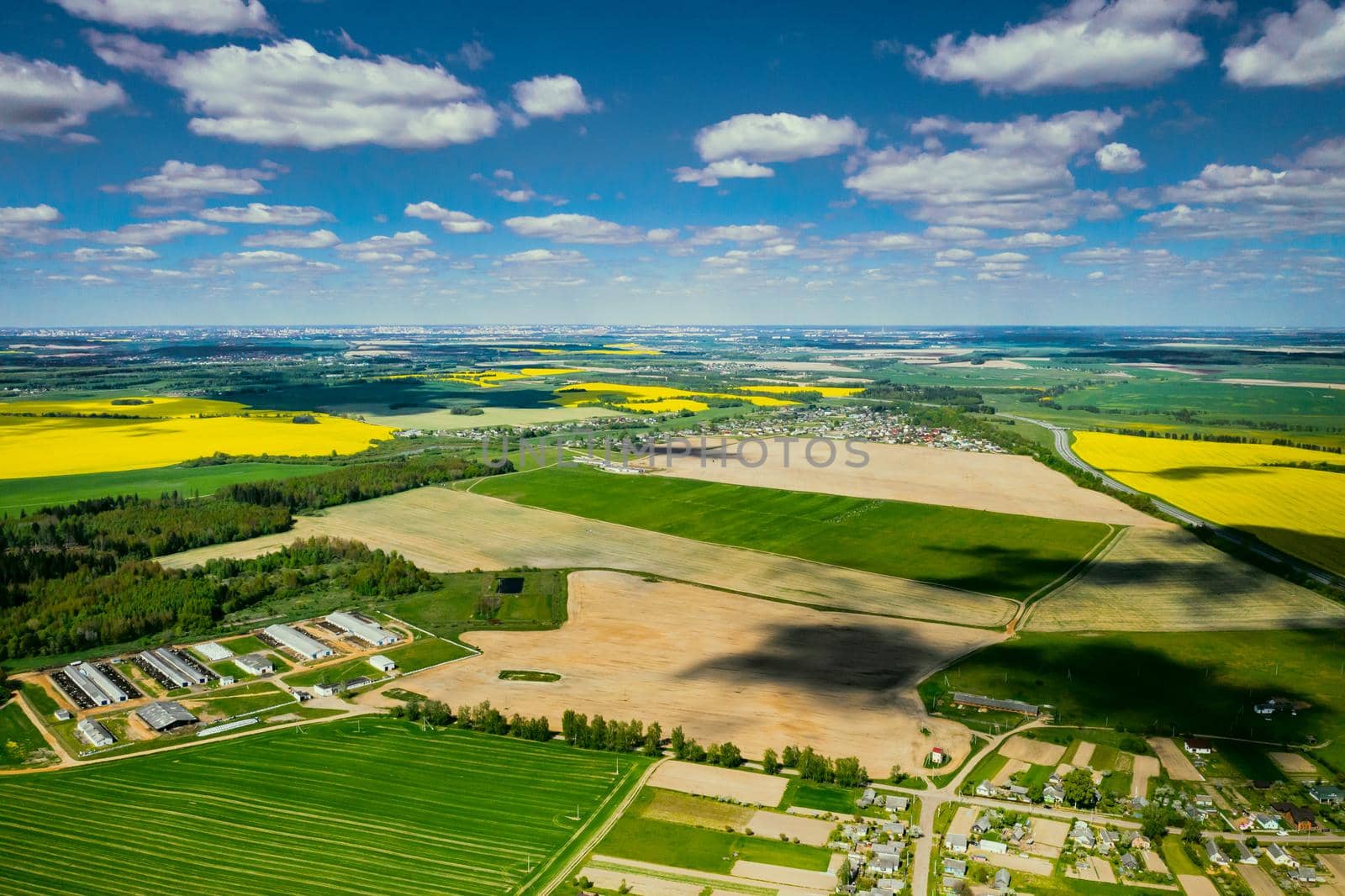 Top view of the yellow rapeseed field and the village. A sown field of rapeseed in Belarus.The village is a field of rapeseed.