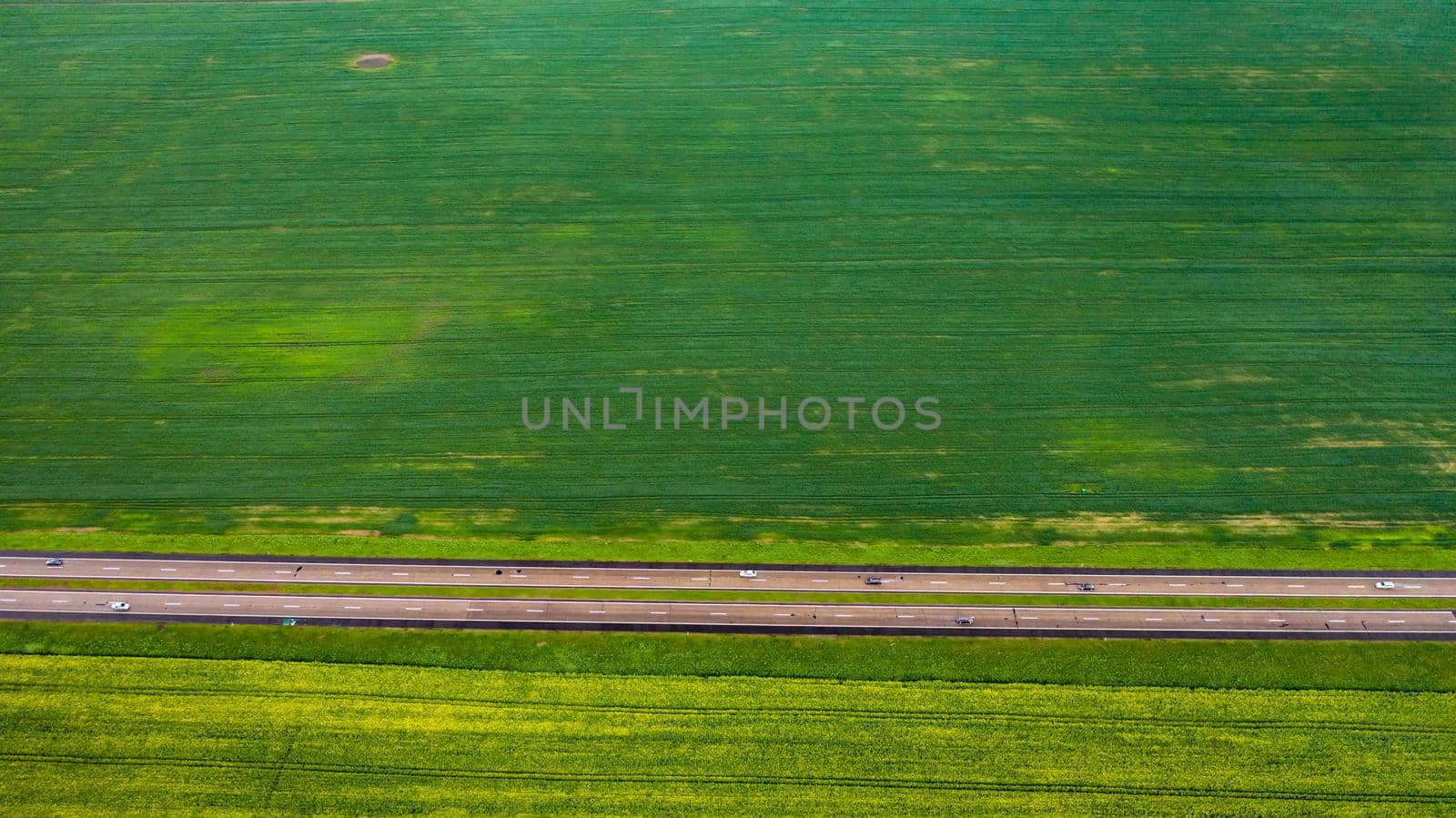 Top view of the sown green in Belarus.Agriculture in Belarus.Texture.