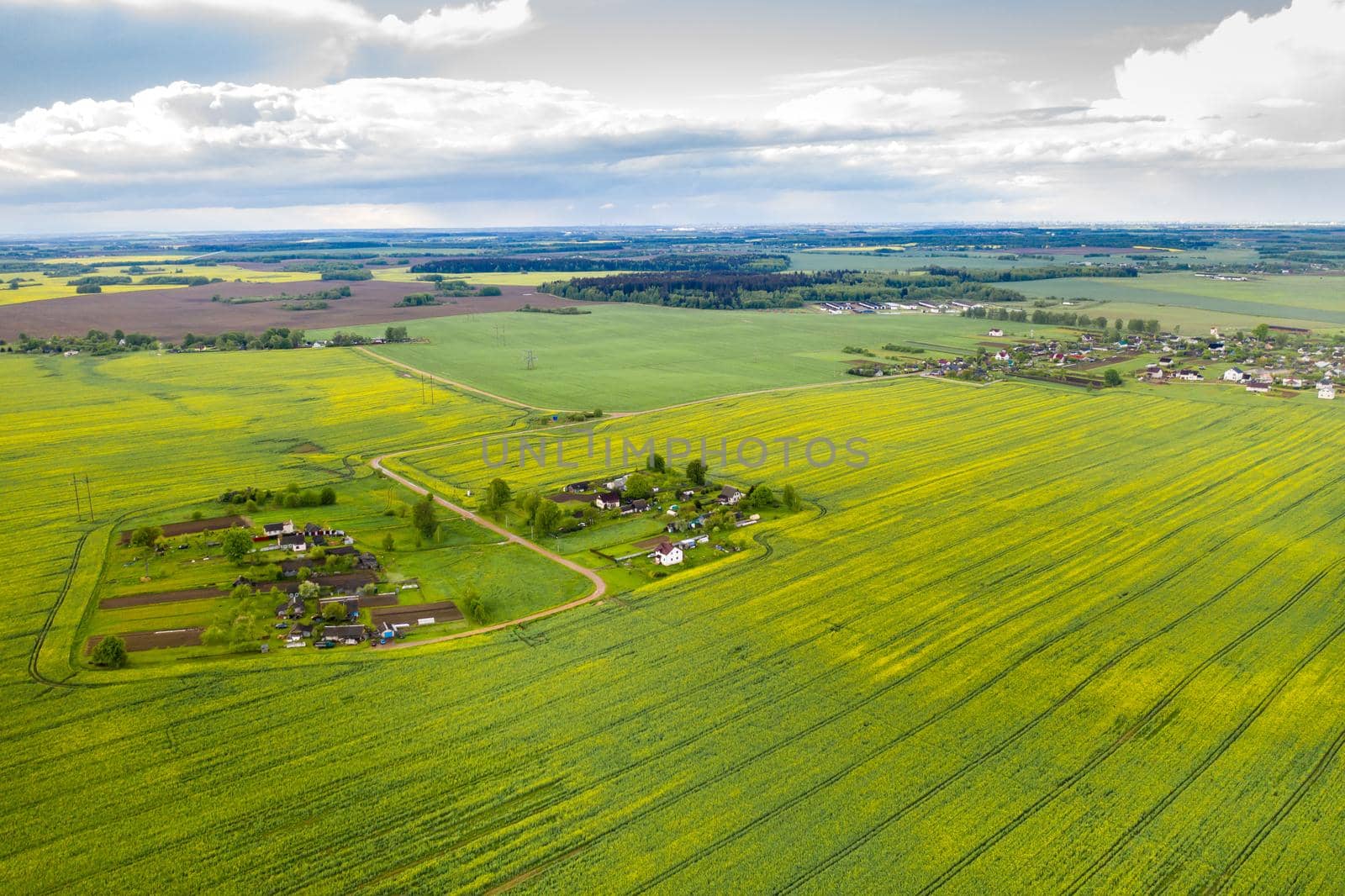 top view of a sown green field and a small village in Belarus. Agricultural fields in the village.