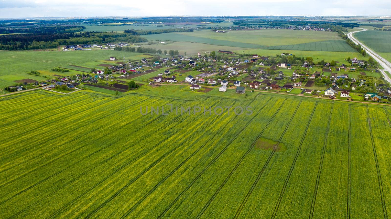 top view of a sown green field and a small village in Belarus. Agricultural fields in the village.