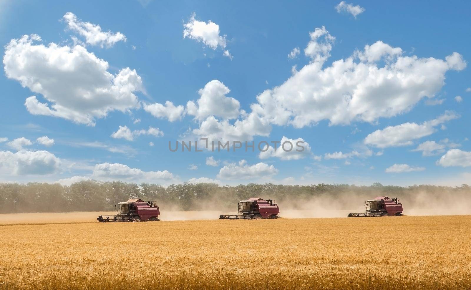 STAVROPOL, RUSSIA - JULY 12: Combine harvesting grain near Stavropol, Russia on July 12, 2014.
