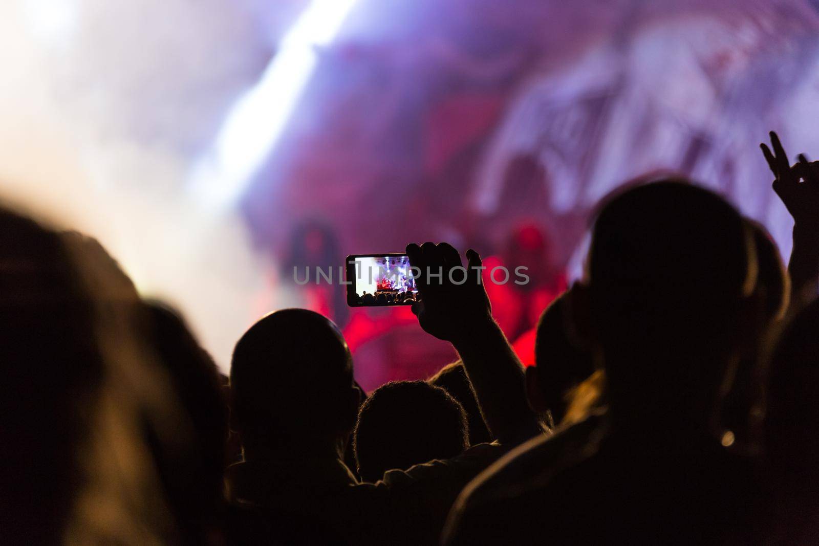 silhouettes of crowd at concert on music festival