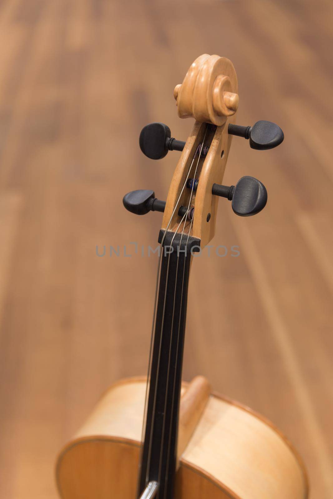 Violin music instrument with blur bckgrong