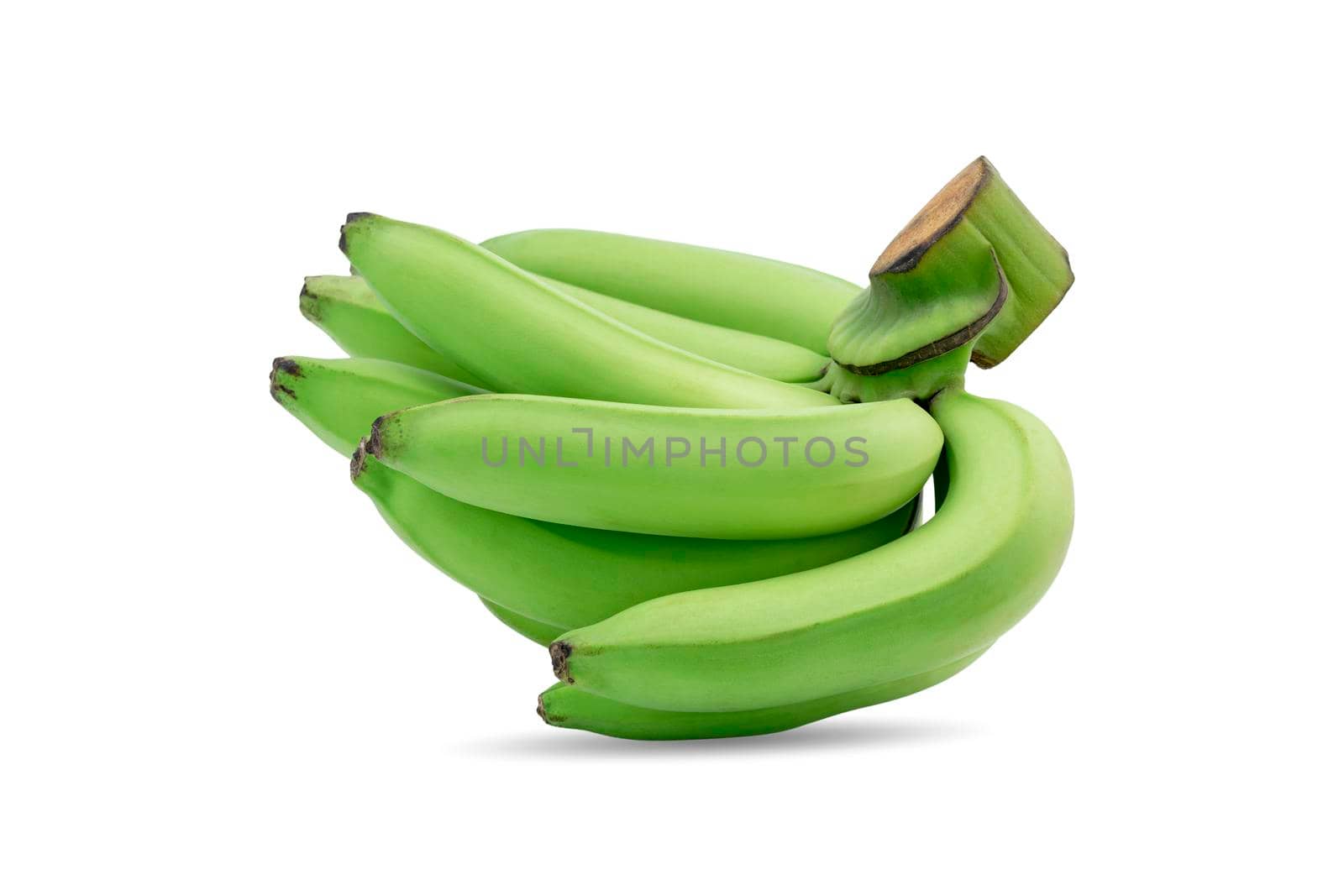 Group of green raw bananas in a same branch isolated on white background.