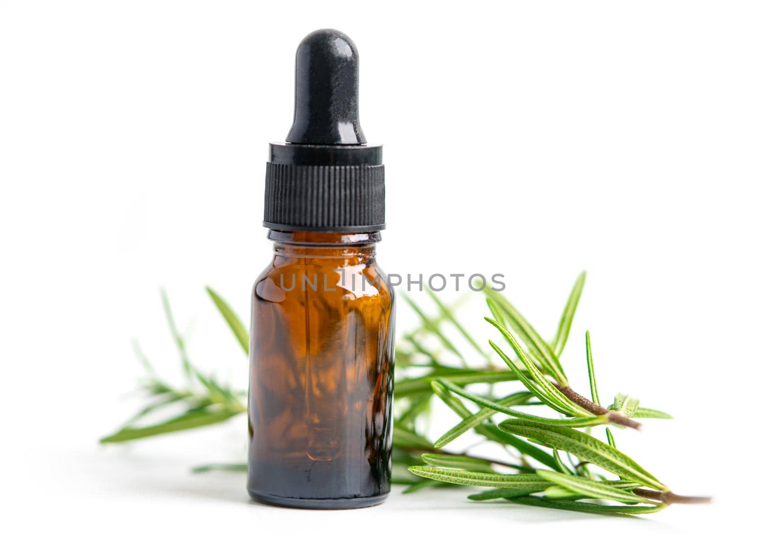 Rosemary aromatic essential oil fresh bunch herb with aromatherapy herbal bottle. by pamai