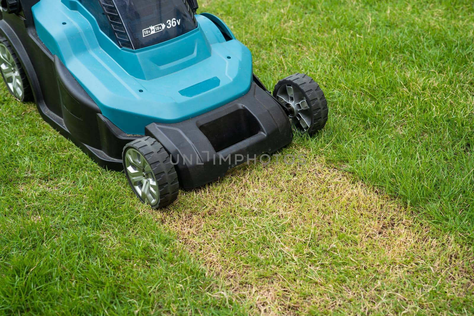 Lawn mover machine cut green grass, Hobby planting home garden.