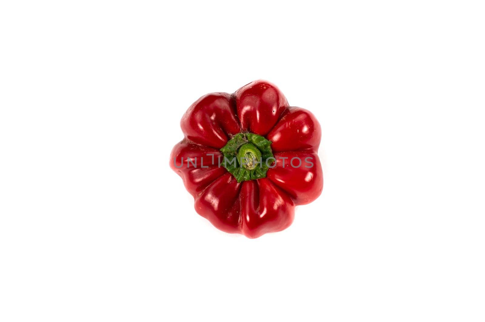 red pepper on white background by carfedeph