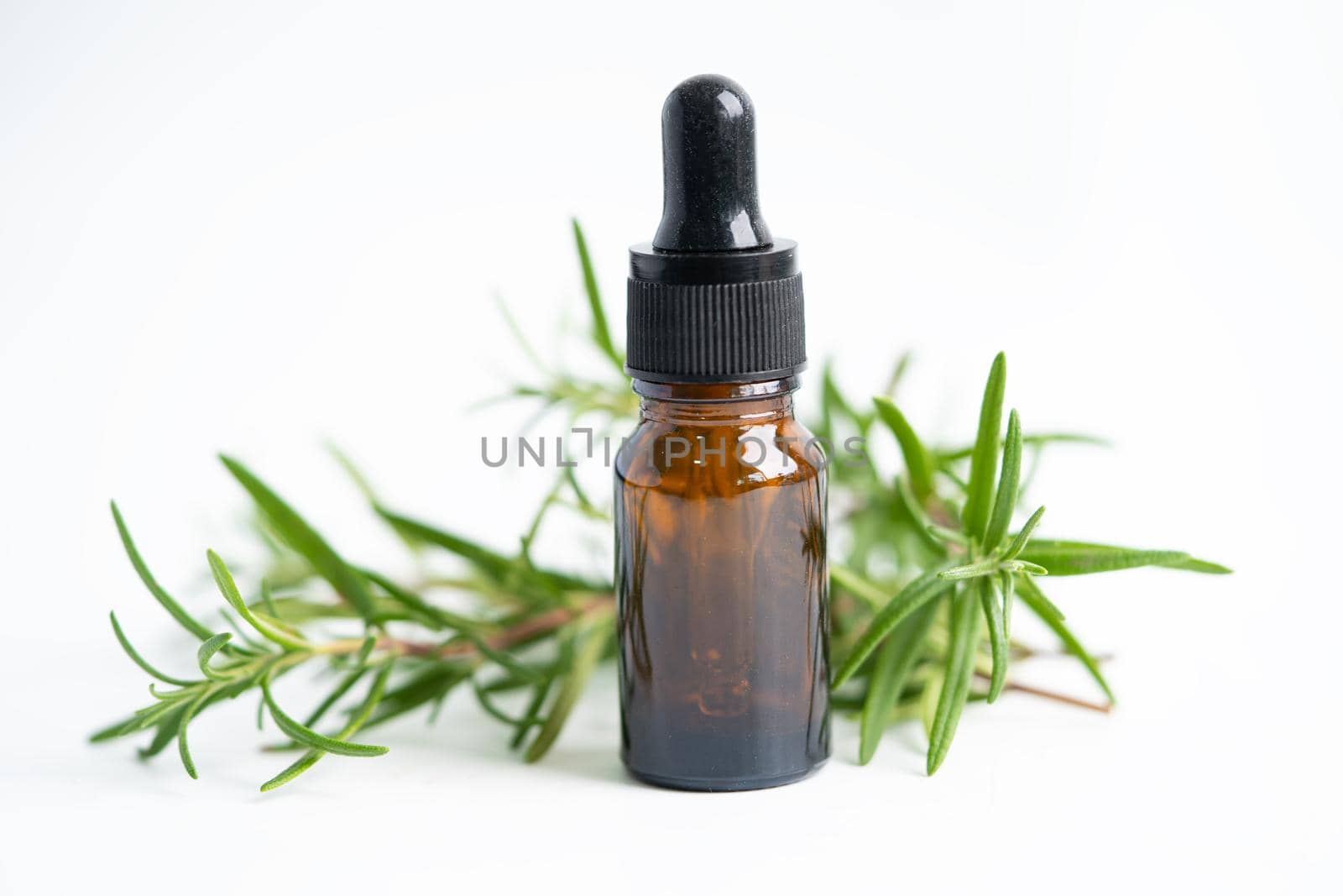 Rosemary aromatic essential oil fresh bunch herb with aromatherapy herbal bottle.