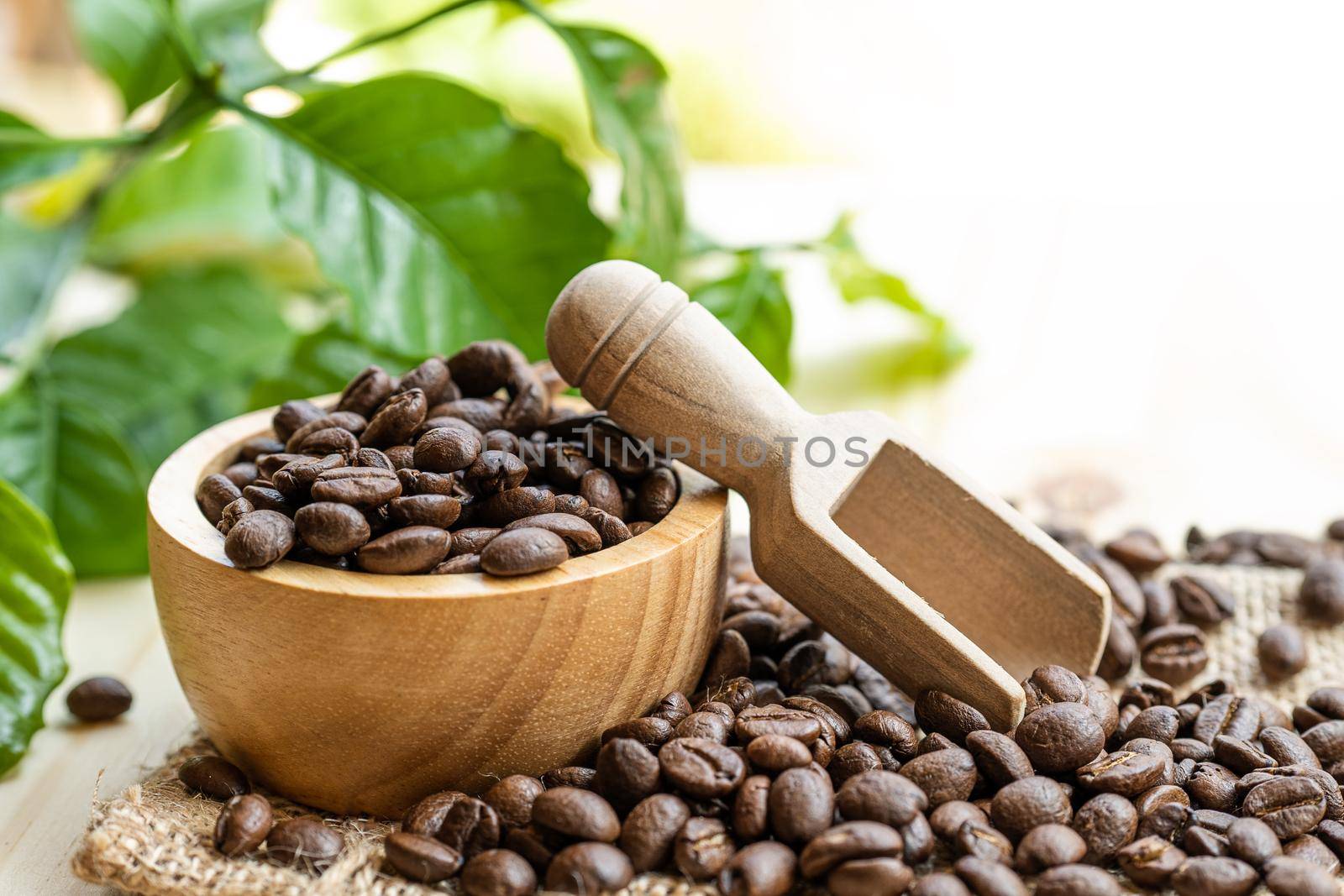 Coffee bean medium roasted in wooden bowl with leaf in fresh morning.