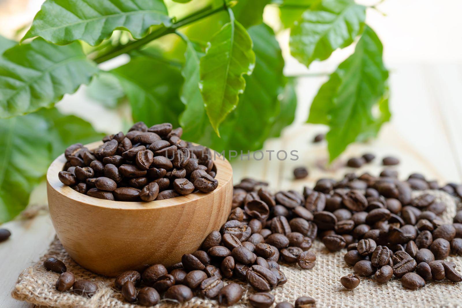 Coffee bean medium roasted in wooden bowl with leaf in fresh morning.