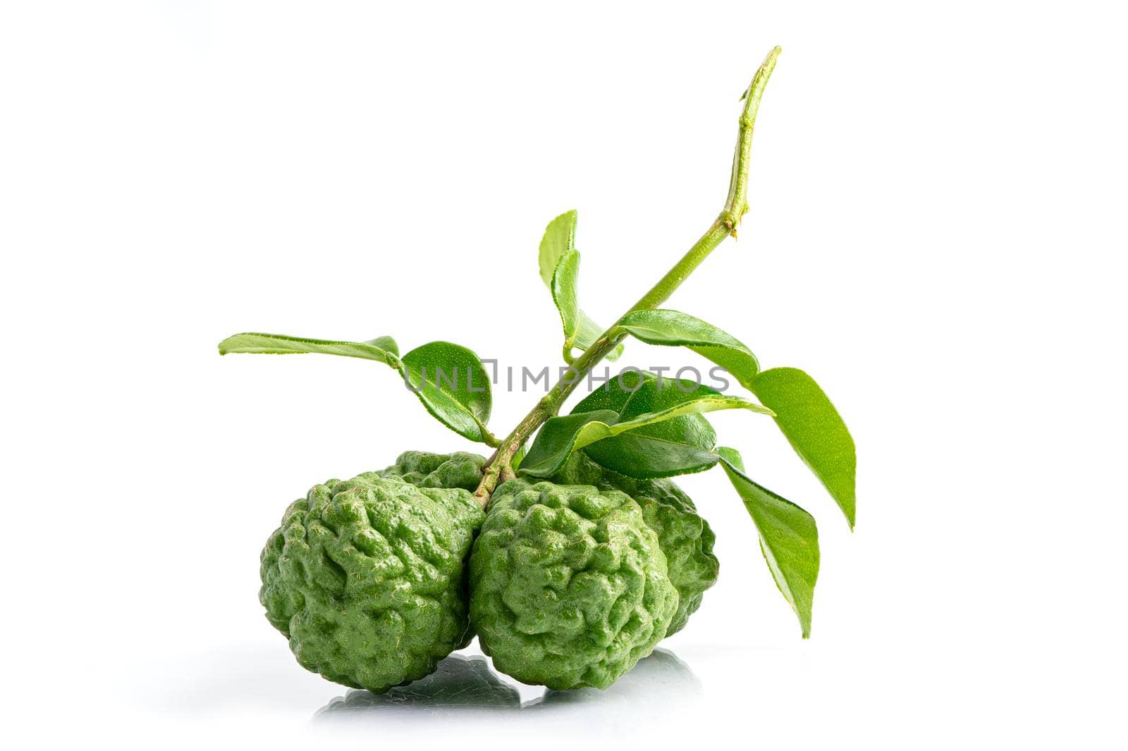 Bunch of bergamot fruit and leaf isolate on white background