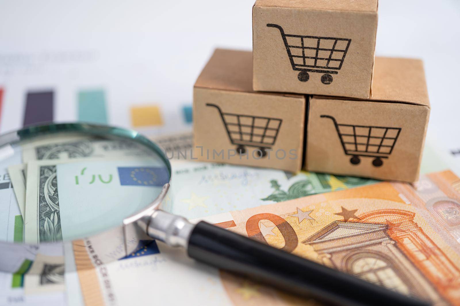 Shopping cart logo on box with magnifying glass on graph and Euro banknotes. Banking Account, Investment Analytic research data economy, trading, Business import export transportation online.