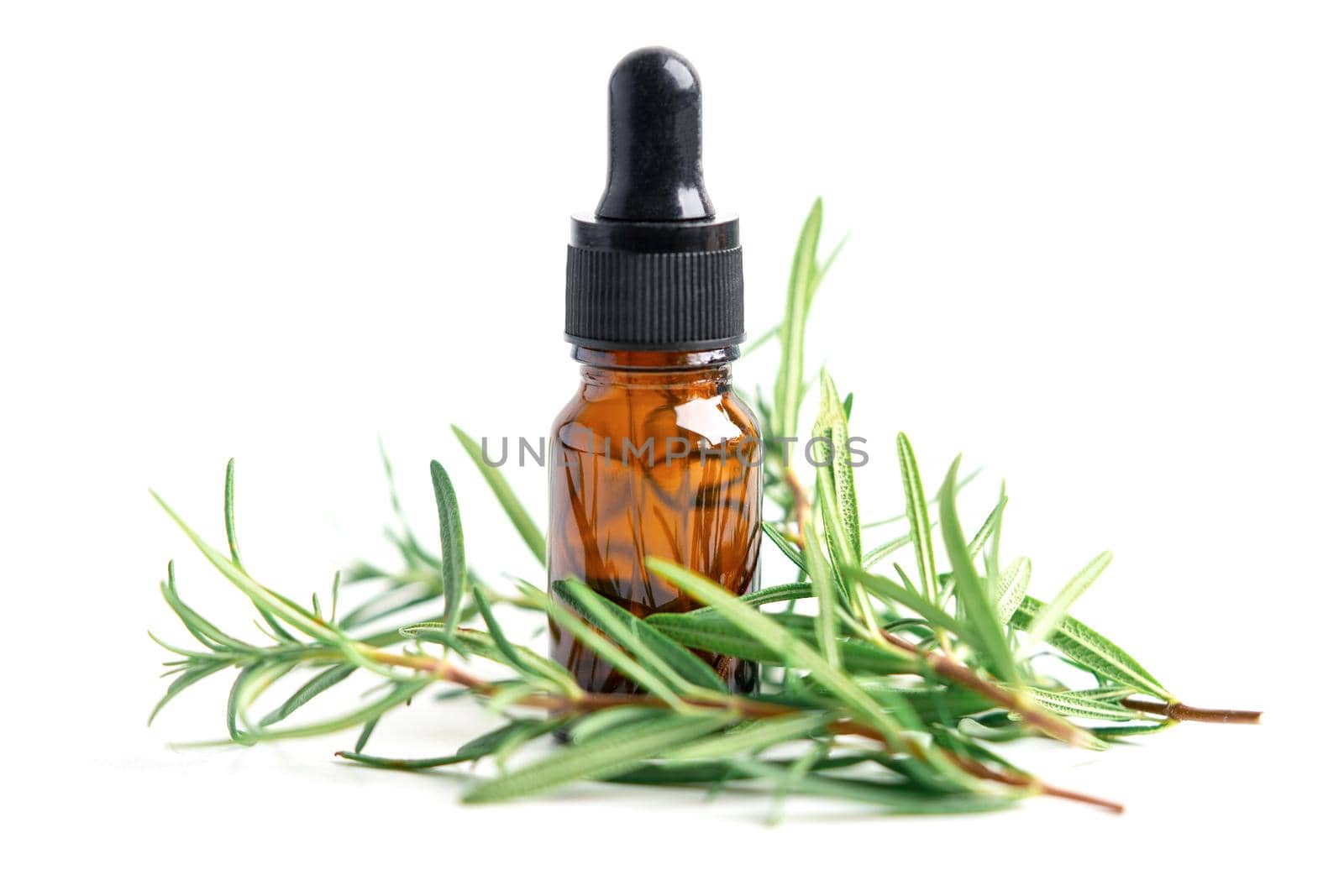 Rosemary aromatic essential oil fresh bunch herb with aromatherapy herbal bottle.